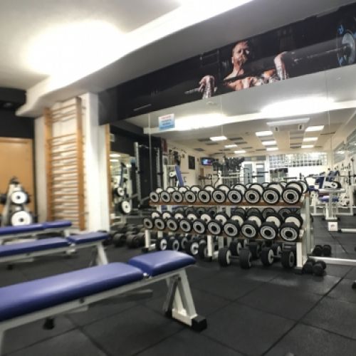 Sala de Musculación y Peso Libre